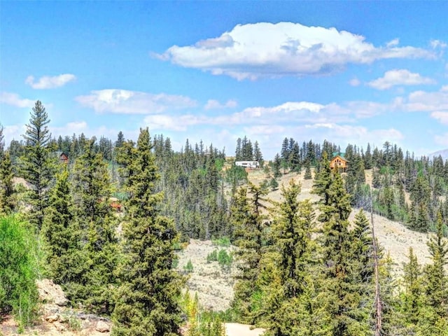 305 Travois Ct, Como, CO 80432 - photo 47