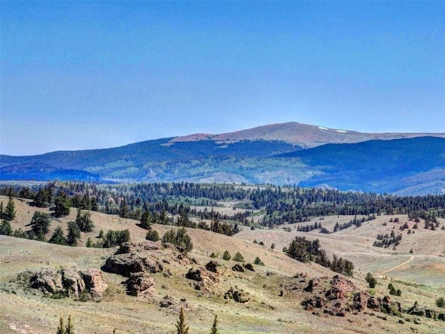 305 Travois Ct, Como, CO 80432 - photo 19