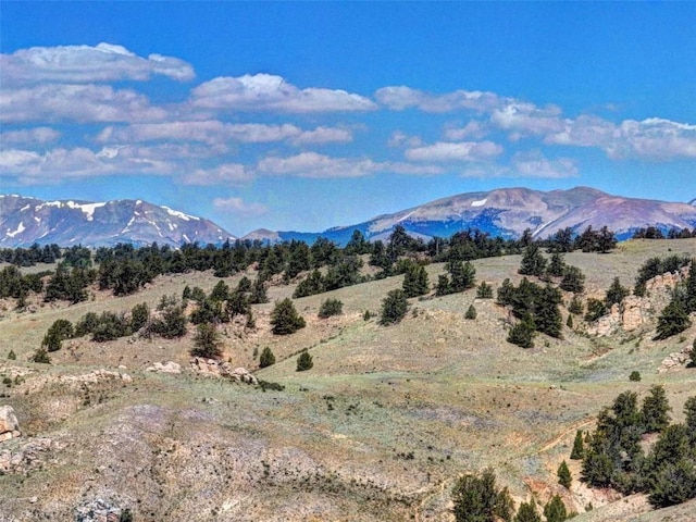 305 Travois Ct, Como, CO 80432 - photo 42