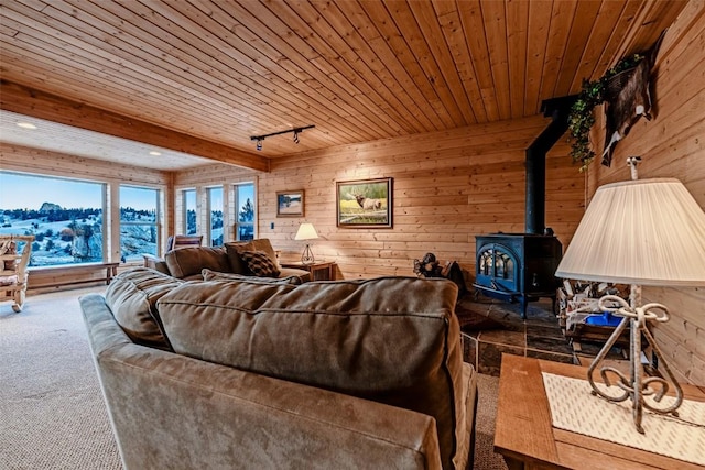 305 Travois Ct, Como, CO 80432 - photo 21