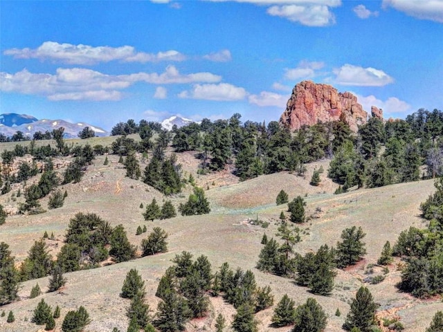 305 Travois Ct, Como, CO 80432 - photo 44