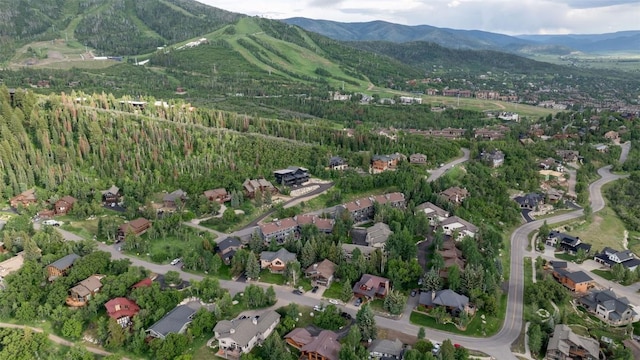 2055 Clubhouse Dr, Steamboat Springs, CO 80487 - photo 38