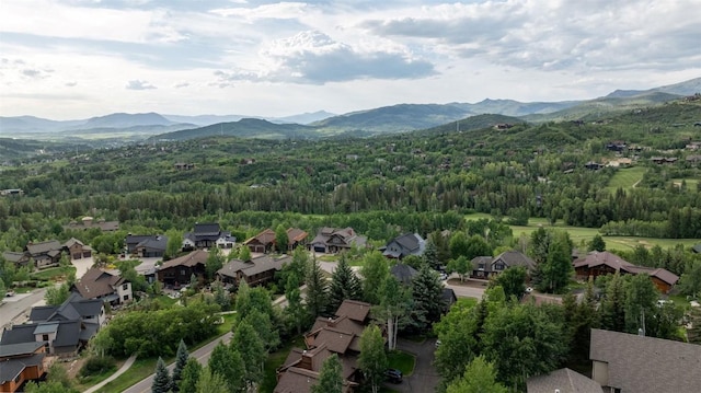 2055 Clubhouse Dr, Steamboat Springs, CO 80487 - photo 40