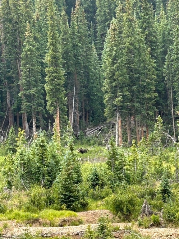 TBD Tbd, Keystone, CO 80435 - photo 15