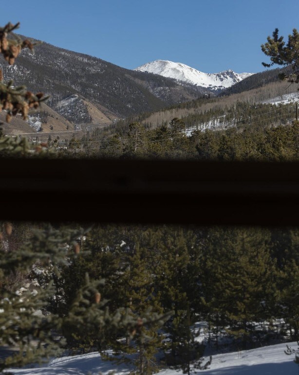 144 Lookout Ridge Dr Unit 144, Dillon, CO 80435 - photo 12