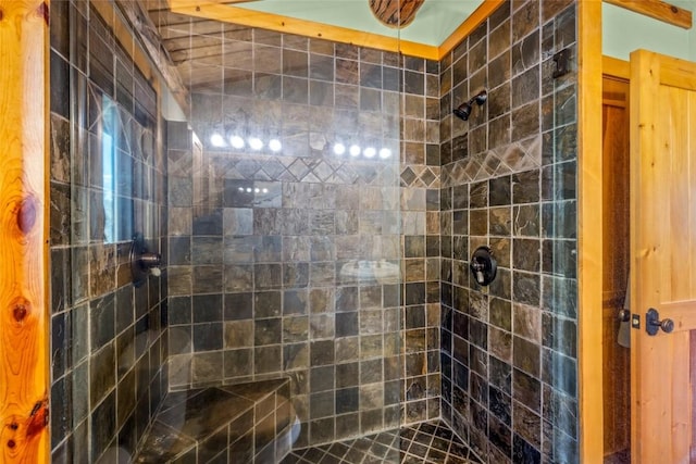 24110 Arapahoe Rd, Oak Creek, CO 80467 - full bathroom with tiled shower
