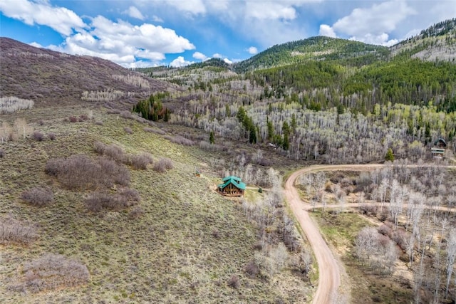 24110 Arapahoe Rd, Oak Creek, CO 80467 - property view of mountains