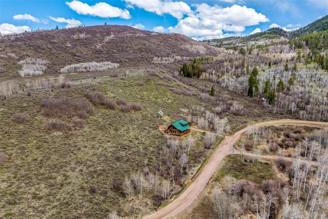 24110 Arapahoe Rd, Oak Creek, CO 80467 - view of mountain feature