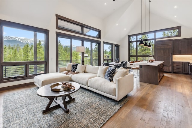 31 Burro Ln, Breckenridge, CO 80424 - photo 6