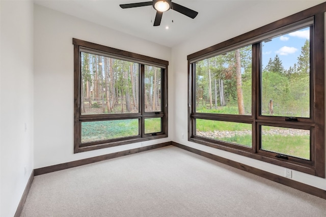 31 Burro Ln, Breckenridge, CO 80424 - photo 38