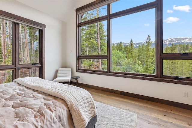 31 Burro Ln, Breckenridge, CO 80424 - photo 15