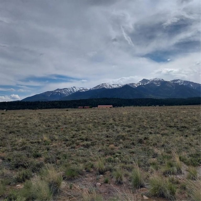 14614 High Mesa Ct, Nathrop, CO 81236
