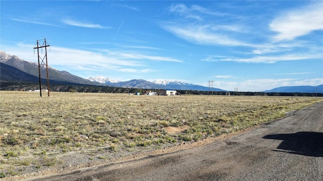 14614 High Mesa Ct, Nathrop, CO 81236