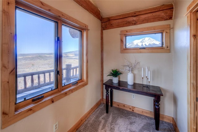 1390 Mountain Valley Rd, La Veta, CO 81055 - interior space with baseboards and carpet