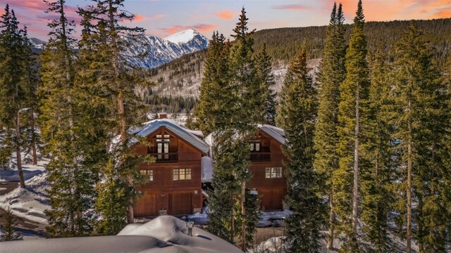 960 Whispering Pines Ln, Breckenridge, CO 80424 - view of mountain background with a forest