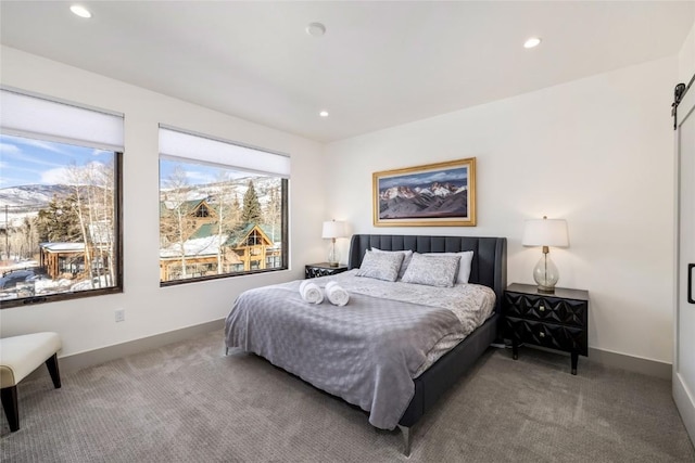 50 E 6th St Unit A3, Silverthorne, CO 80498 - photo 10