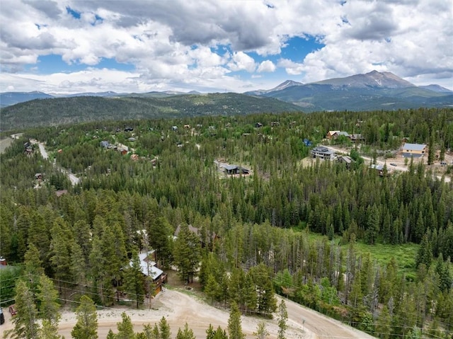 5629 Barton Rd, Breckenridge, CO 80424 - photo 28