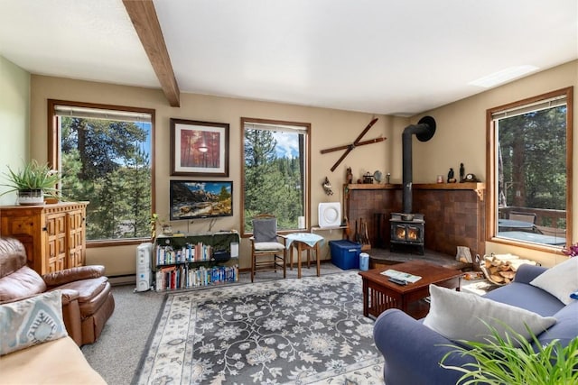 5629 Barton Rd, Breckenridge, CO 80424 - photo 13