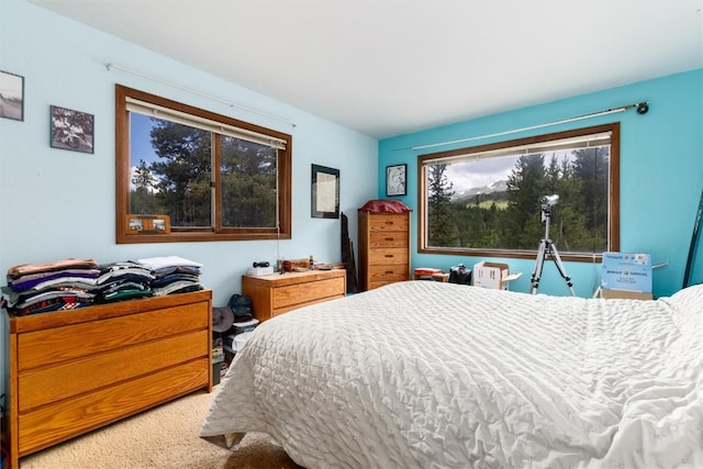 5629 Barton Rd, Breckenridge, CO 80424 - photo 7