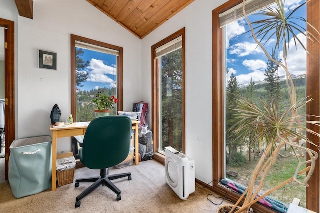 5629 Barton Rd, Breckenridge, CO 80424 - photo 5