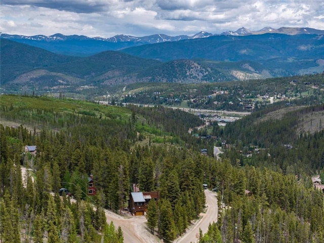 5629 Barton Rd, Breckenridge, CO 80424 - photo 24