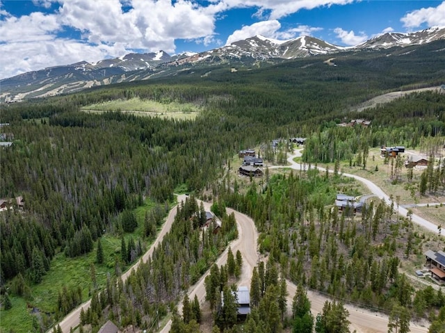 5629 Barton Rd, Breckenridge, CO 80424 - photo 23