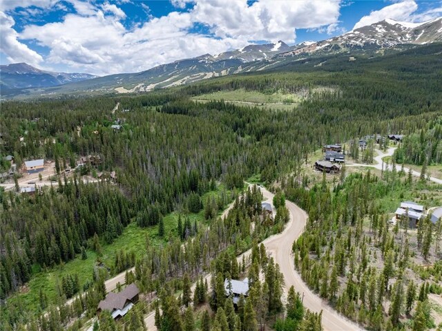 5629 Barton Rd, Breckenridge, CO 80424 - photo 30