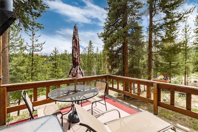 5629 Barton Rd, Breckenridge, CO 80424 - photo 22