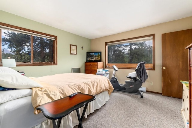 5629 Barton Rd, Breckenridge, CO 80424 - photo 8
