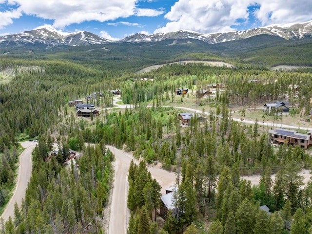 5629 Barton Rd, Breckenridge, CO 80424 - photo 29