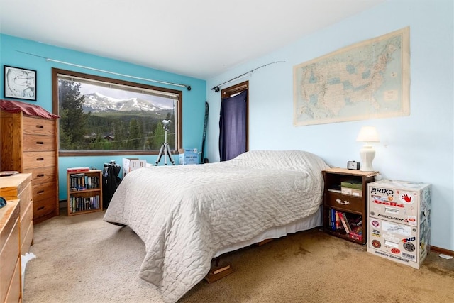 5629 Barton Rd, Breckenridge, CO 80424 - photo 6