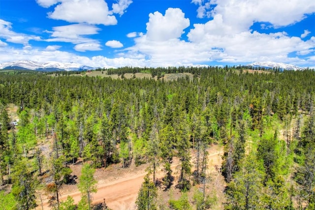 337 Busch Run, Fairplay, CO 80440