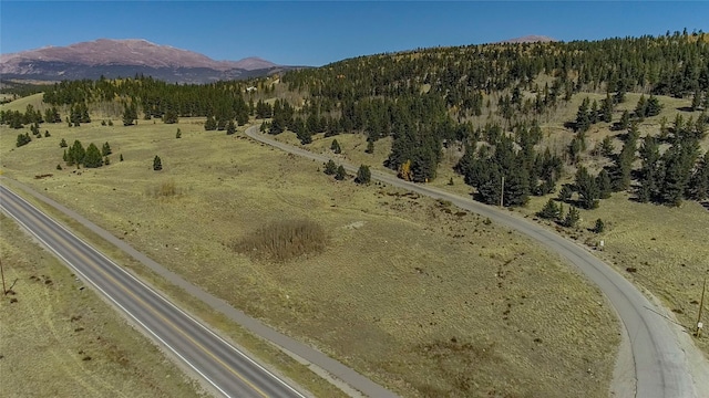 45 Platte River Dr, Fairplay, CO 80440