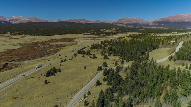 45 Platte River Dr, Fairplay, CO 80440