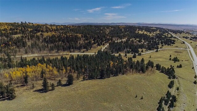 45 Platte River Dr, Fairplay, CO 80440
