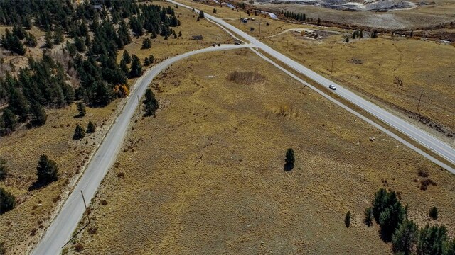 45 Platte River Dr, Fairplay, CO 80440
