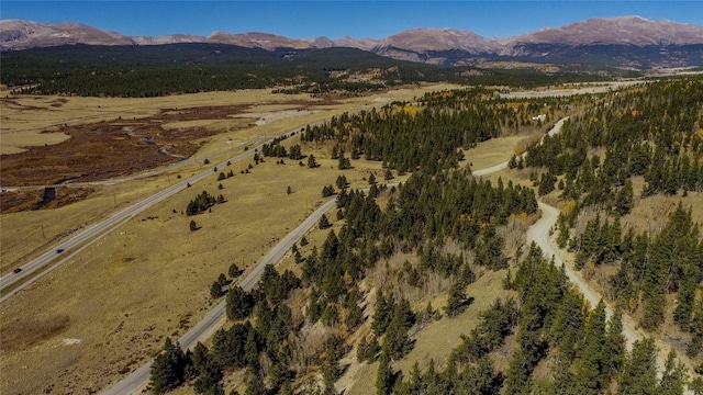 45 Platte River Dr, Fairplay, CO 80440