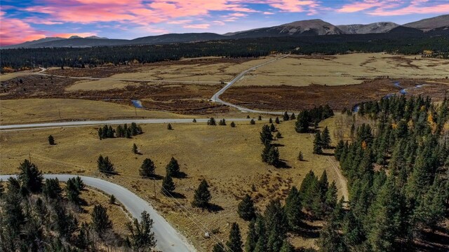45 Platte River Dr, Fairplay, CO 80440