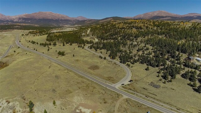 45 Platte River Dr, Fairplay, CO 80440