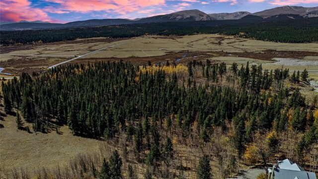45 Platte River Dr, Fairplay, CO 80440