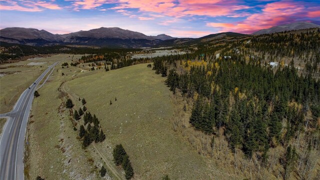 45 Platte River Dr, Fairplay, CO 80440