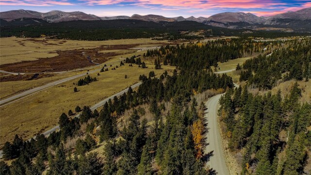 45 Platte River Dr, Fairplay, CO 80440