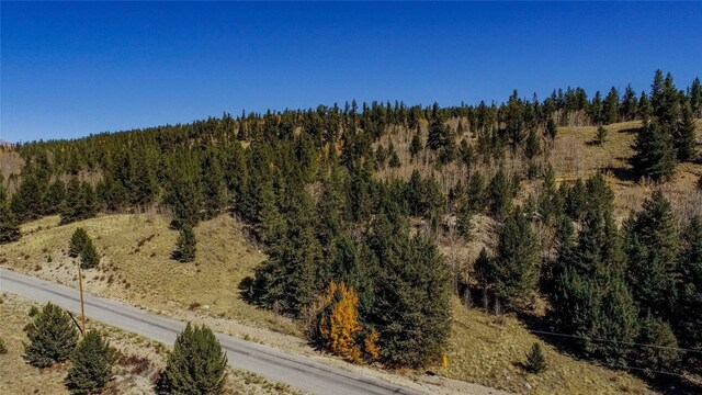 45 Platte River Dr, Fairplay, CO 80440