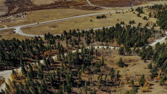 45 Platte River Dr, Fairplay, CO 80440