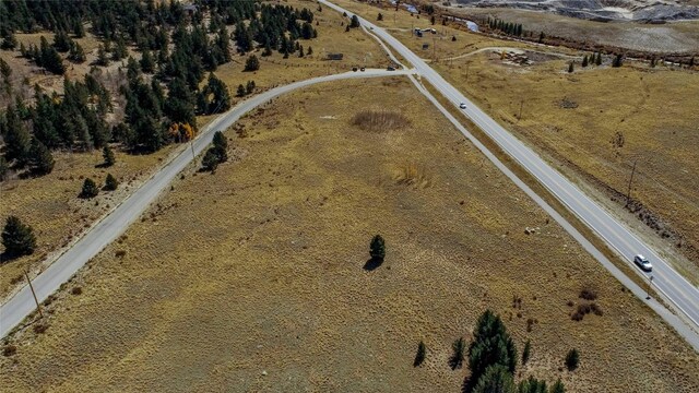 45 Platte River Dr, Fairplay, CO 80440