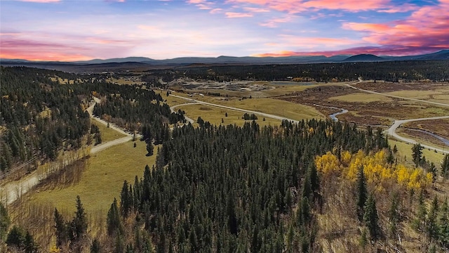 45 Platte River Dr, Fairplay, CO 80440