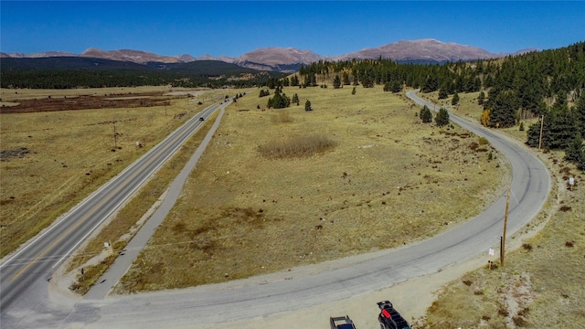 45 Platte River Dr, Fairplay, CO 80440