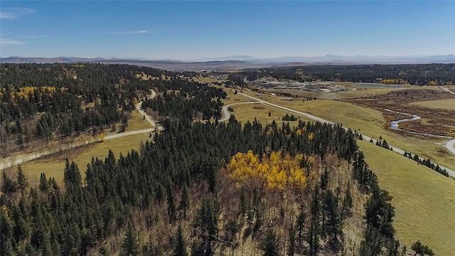 45 Platte River Dr, Fairplay, CO 80440