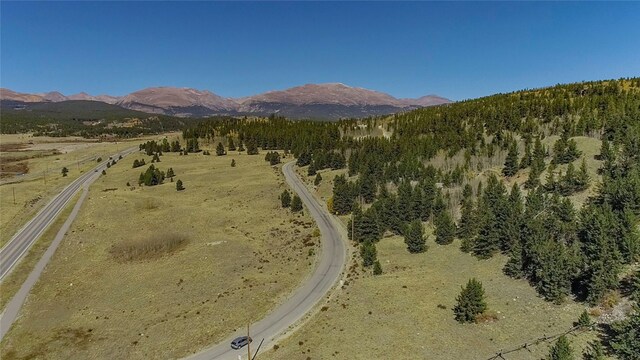 45 Platte River Dr, Fairplay, CO 80440