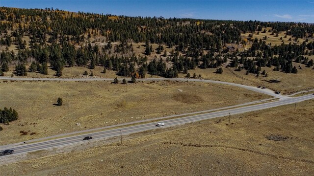 45 Platte River Dr, Fairplay, CO 80440